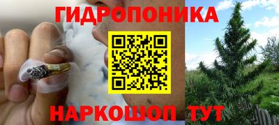 гидропоника Коммунар