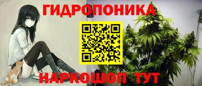 гидропоника Коммунар