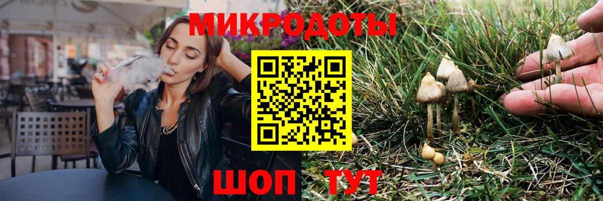 Галлюциногенные грибы Psilocybine cubensis Туймазы